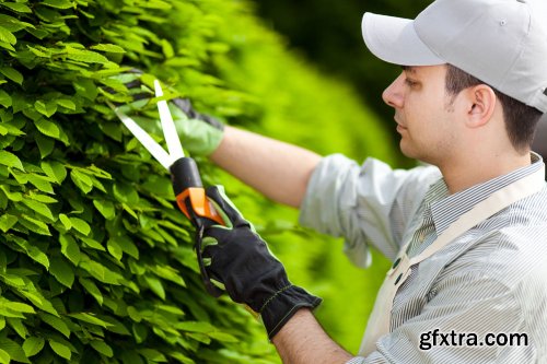Stock Photo: In the Garden