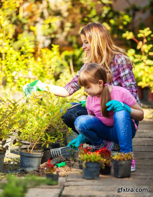 Stock Photo: In the Garden