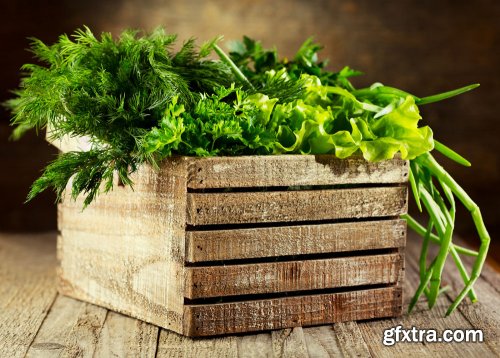 Stock Photo: In the Garden