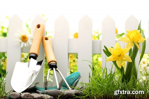 Stock Photo: In the Garden
