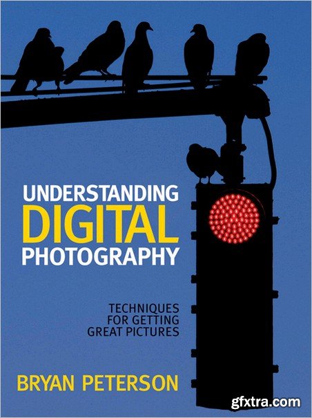 Understanding Digital Photography: Techniques for Getting Great Pictures