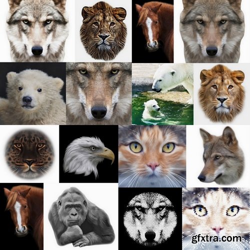 Beautiful animals in vector set from stock #4 - 25 Eps