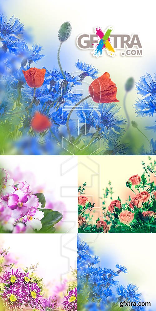 Stock photo - Flowers 12
