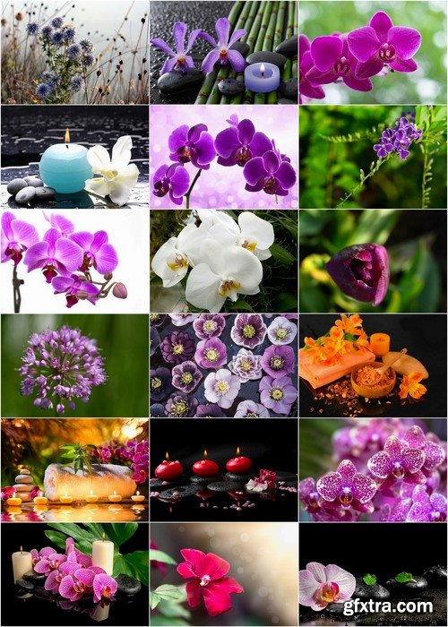 Flowers and SPA stock images - 25 HQ Jpg