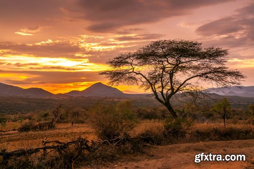 Stock Photo: Beautiful nature 6