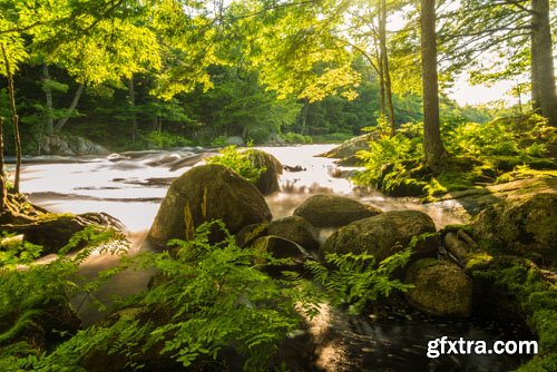 Stock Photo: Beautiful nature 6