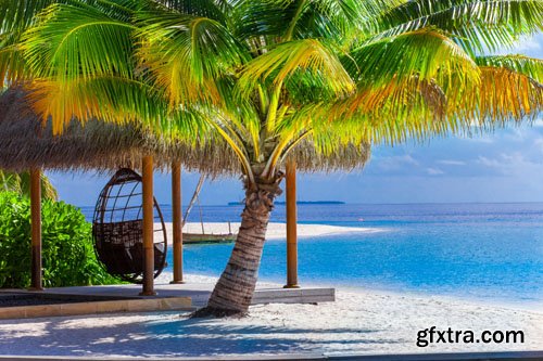 Stock Photo: Beautiful nature 6