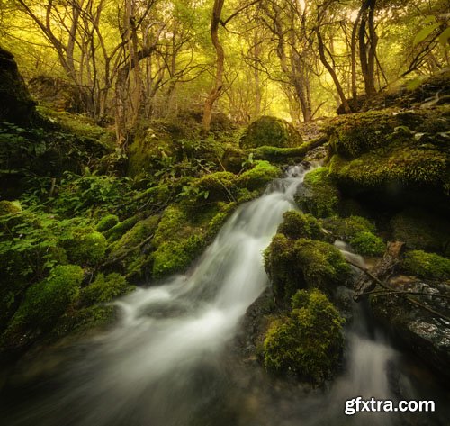 Stock Photo: Beautiful nature 6