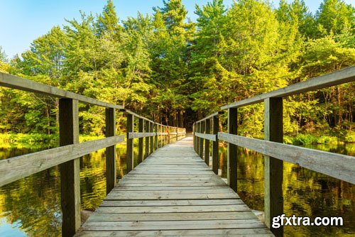 Stock Photo: Beautiful nature 6