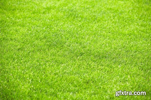 Stock Photos - Green grass 3, 25xJPG