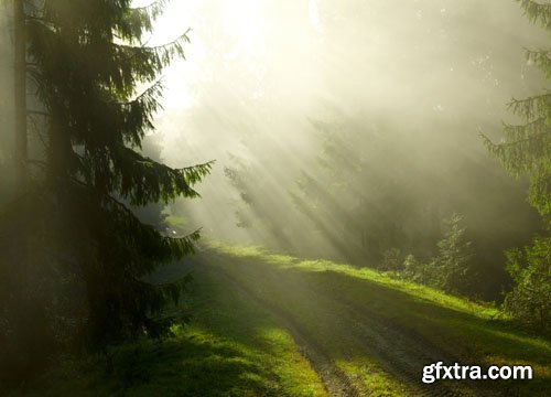 Stock Photo: Beautiful places of nature
