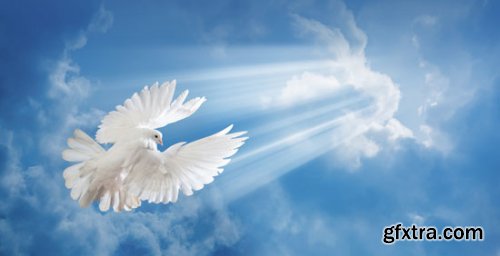 Stock Photo: Sky and Clouds