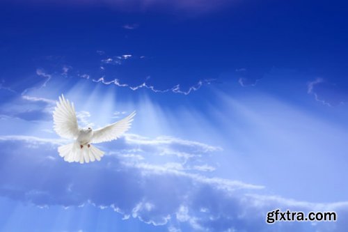 Stock Photo: Sky and Clouds