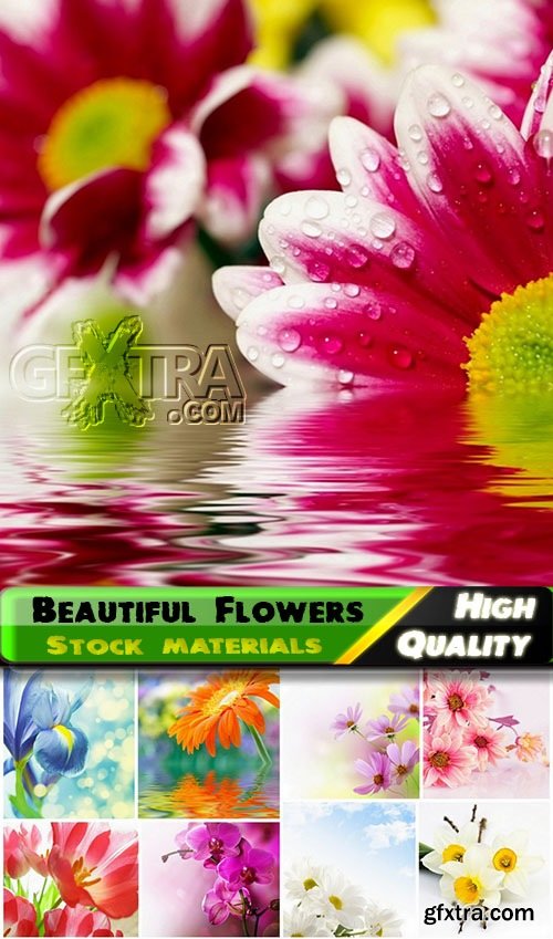 Set of beautiful macro Flowers stock images - 25 HQ Jpg