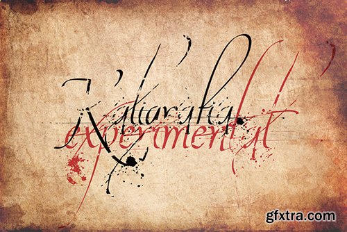 Valeria Script Font Family - 3 Font $52