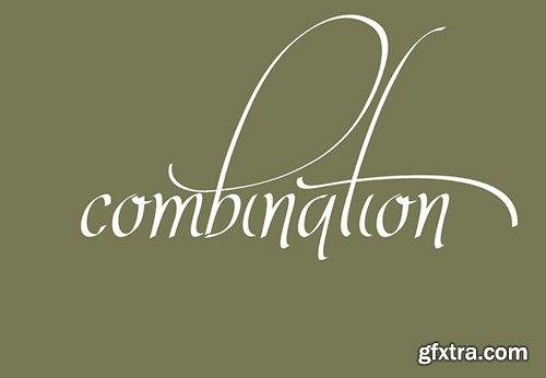 Valeria Script Font Family - 3 Font $52