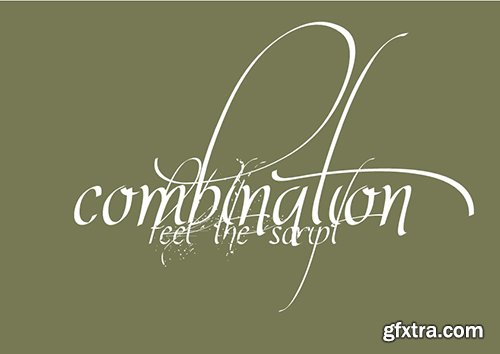Valeria Script Font Family - 3 Font $52