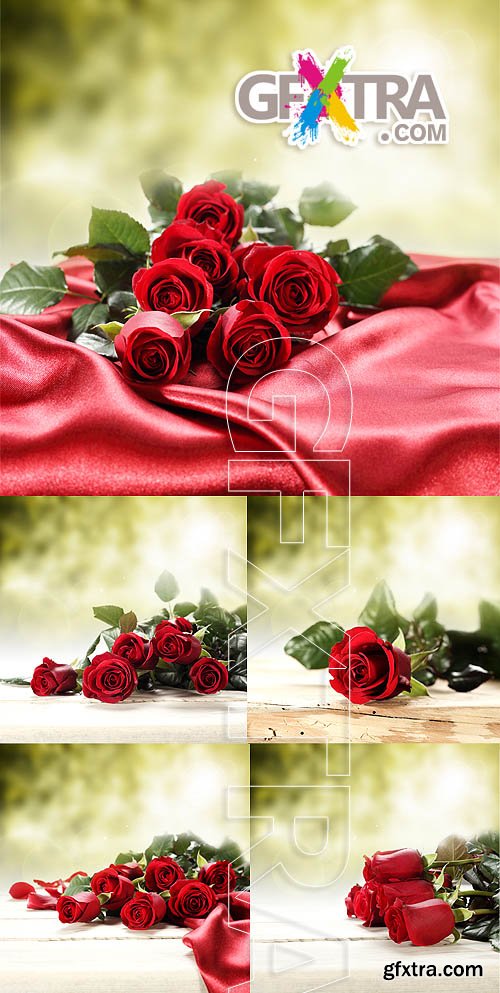 Stock photo - Red roses 6