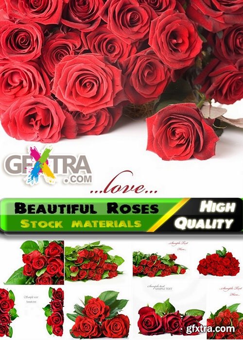 Beautiful Roses Isolated on white Stock images - 25 HQ Jpg