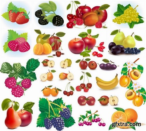 Amazing fruit in vector from stock - 25 Eps