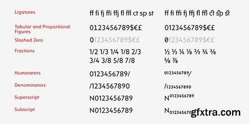 RAMS Font Family - 8 Font $240