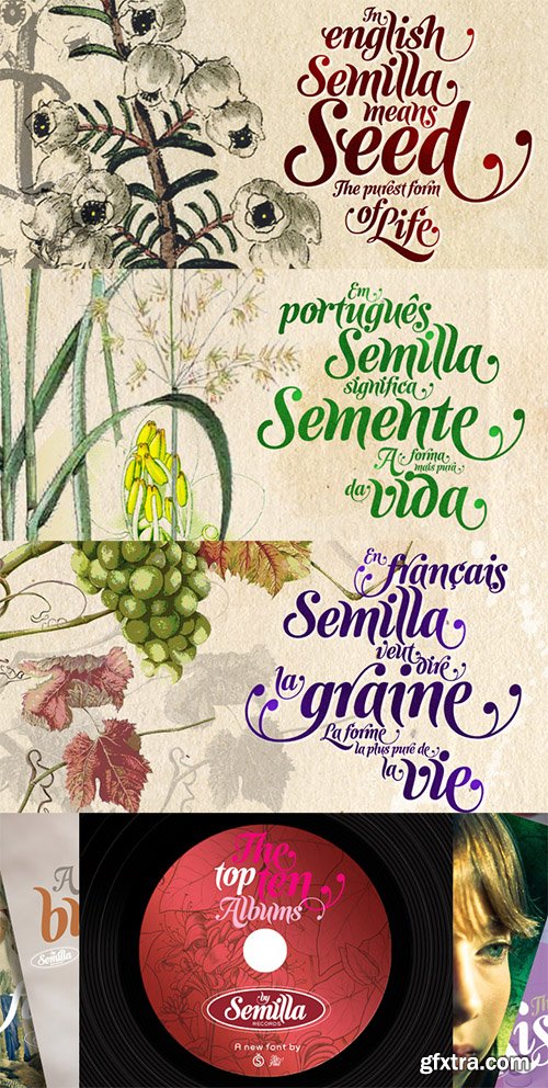 Semilla Font - 1 Font $79