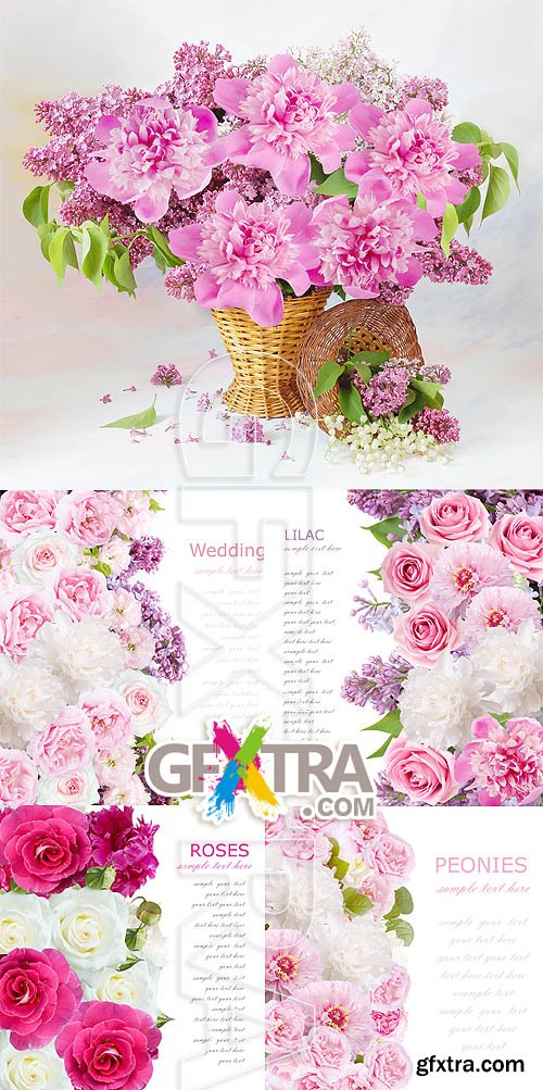 Stock photo - Pink flowers
