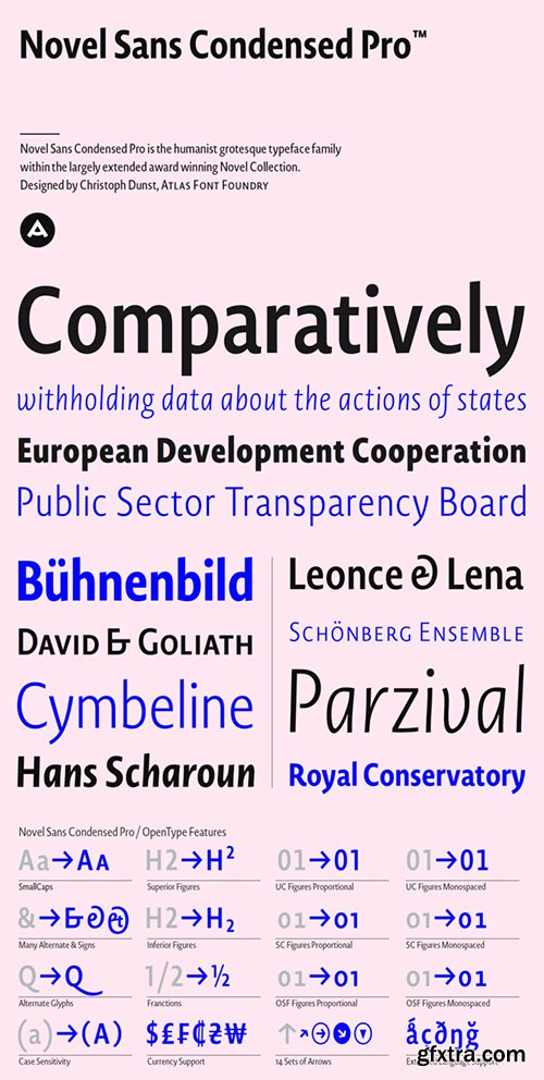 Novel Sans Condensed Pro Font Family - 12 Font $825