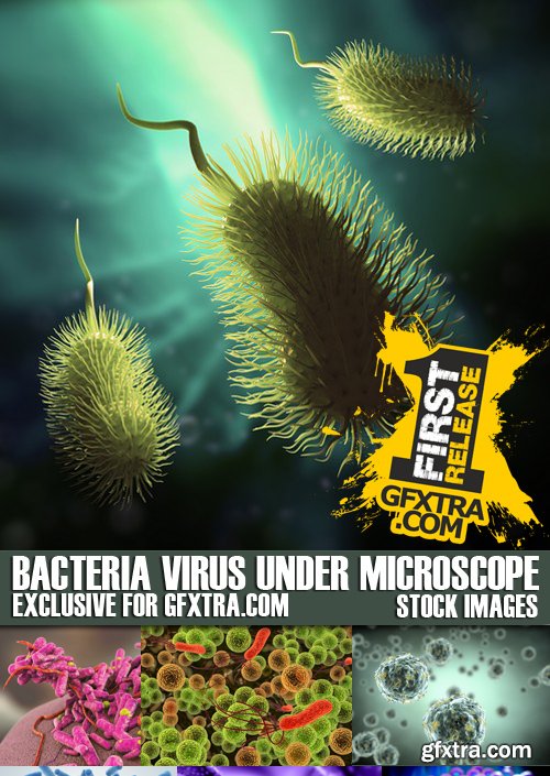 Stock Photos - Rendered blood, Bacteria virus under microscope, 25xJPG