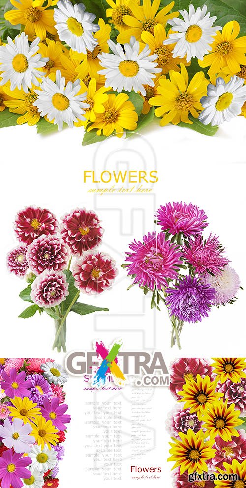 Stock photo - Flowers 14