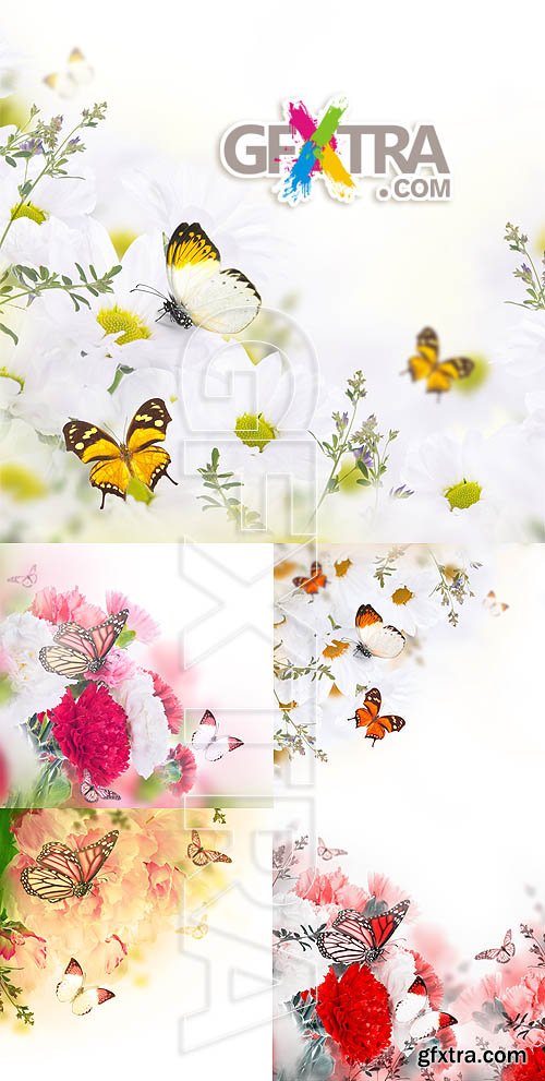 Stock photo - Flowers 15