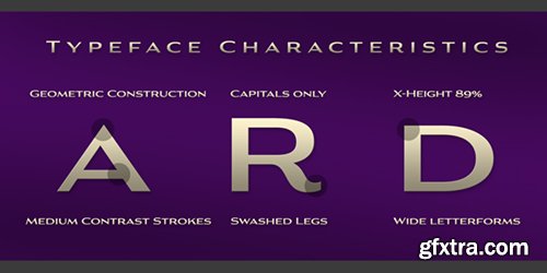 Aviano Gothic Font Family - 6 Font $132