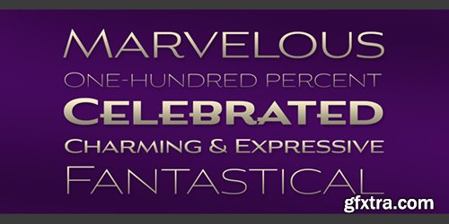 Aviano Gothic Font Family - 6 Font $132