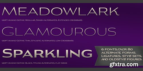 Aviano Gothic Font Family - 6 Font $132