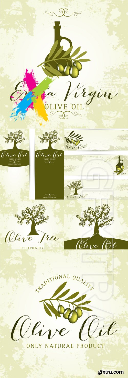 Olive and olive oil illustrations