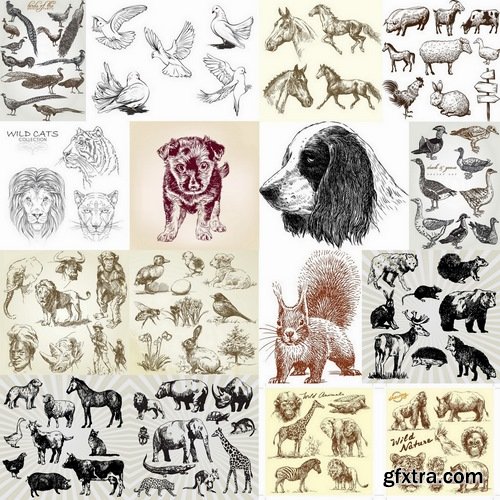 Hand drawn animals in vector from stock - 25 Eps