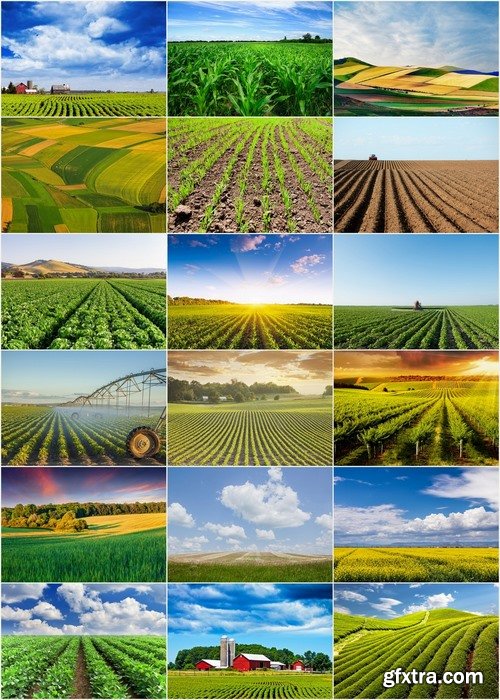 Farm fields and beautiful landscapes Stock images - 25 HQ Jpg