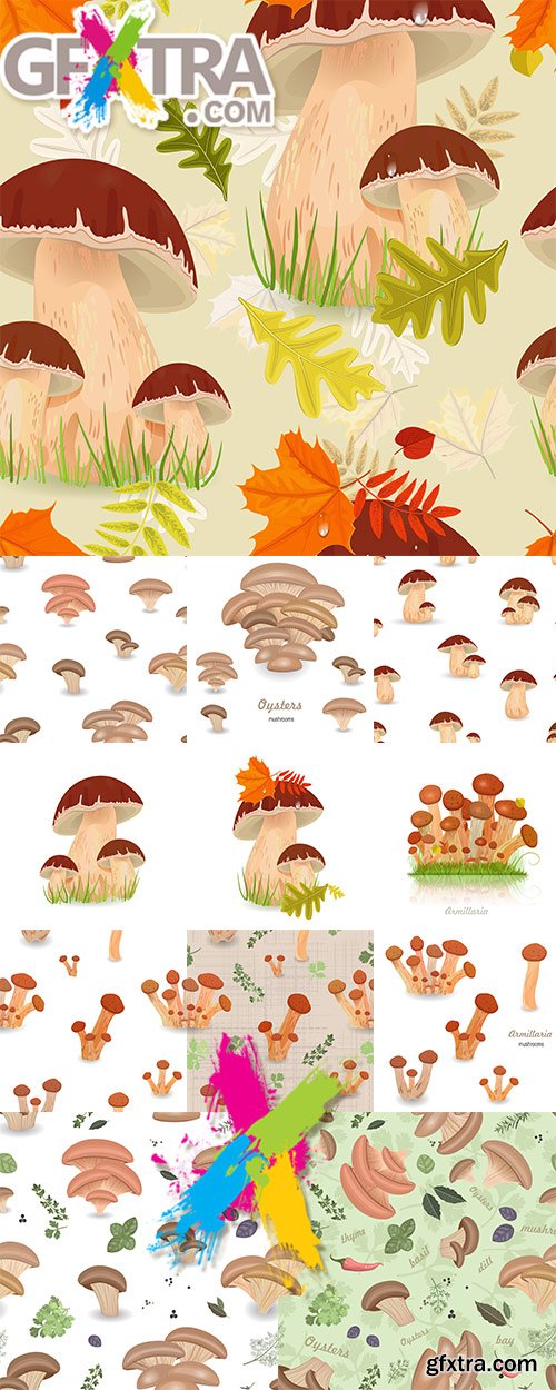 Vector mushrooms and seamless patterns