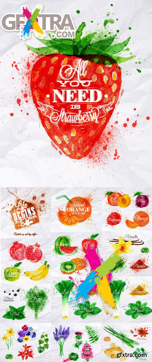 Bright watercolor paintings: fruits, flowers, spices, herbs