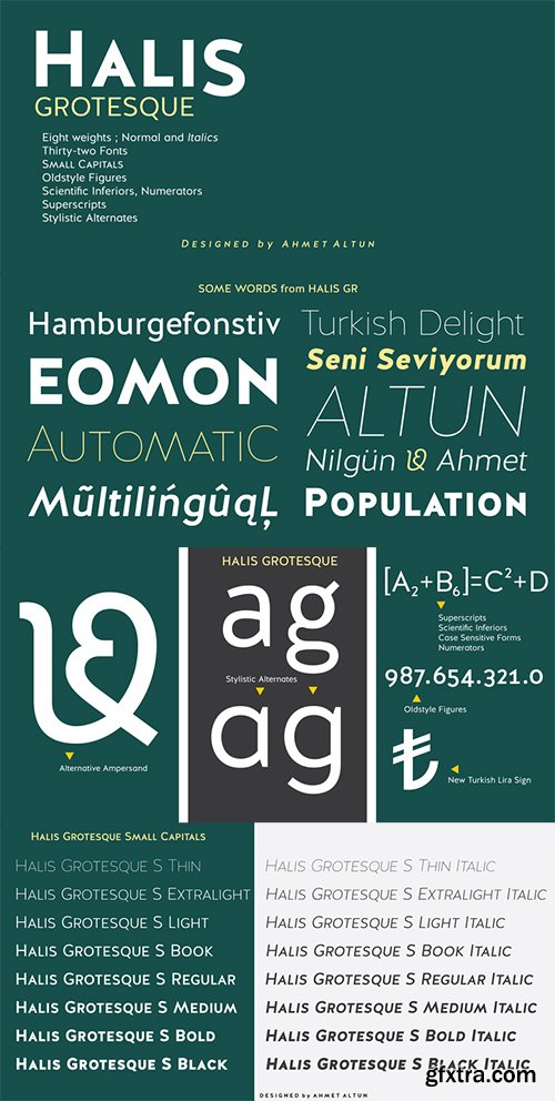 Halis Grotesque Font Family - 32 Fonts 608$
