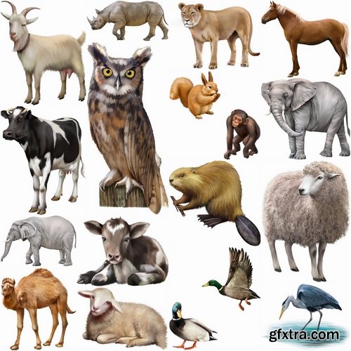 Different realistic animals in vector from stock - 25 Eps