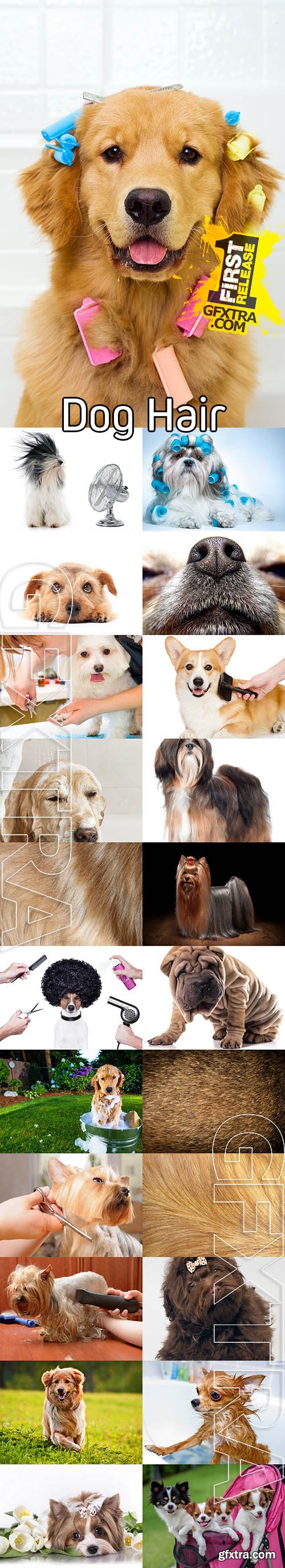 Stock Photos - Dog Hair