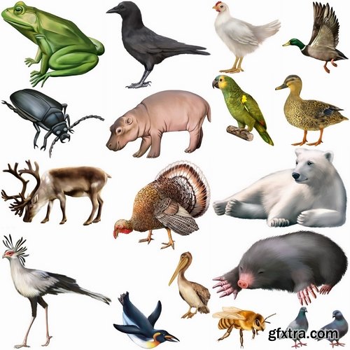 Different realistic animals in vector from stock #2 - 25 Eps
