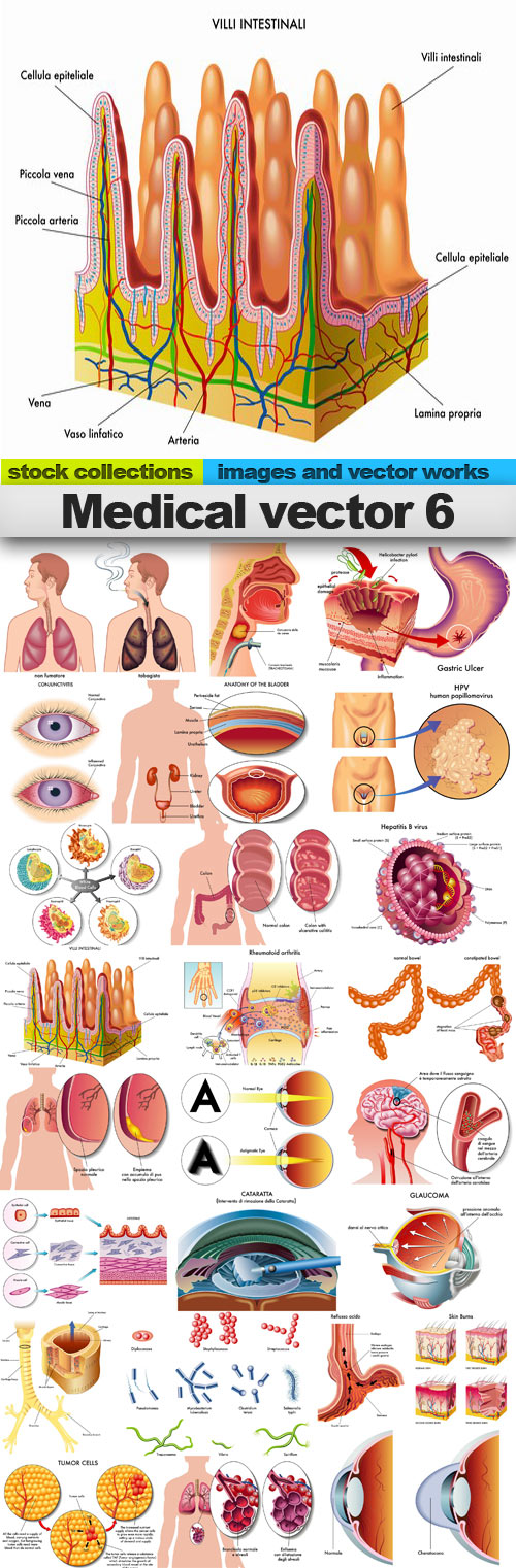 Medical vector 6, 25 x EPS