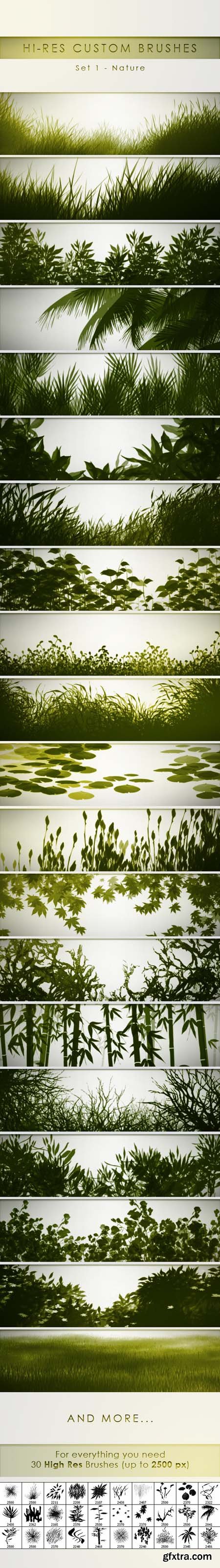 30 Hi-Res Custom Brushes - Nature