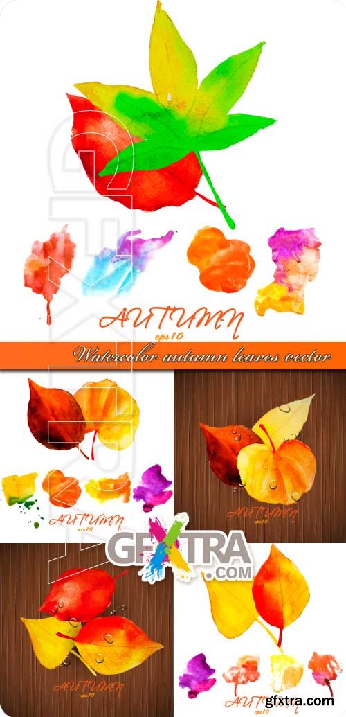 Watercolor autumn leaves vector
