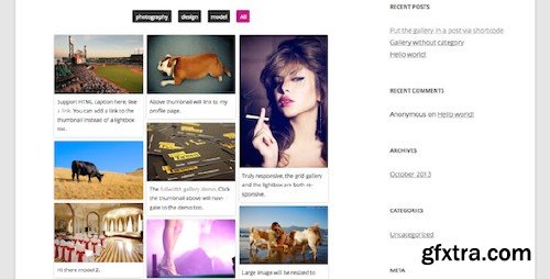 CodeCanyon - Responsive Pinterest Grid Gallery v1.2 - WordPress Plugin