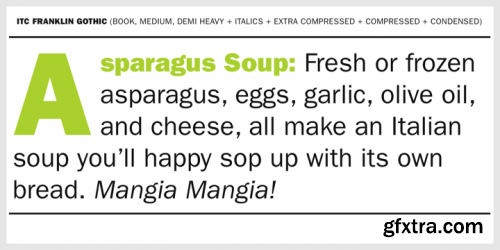 ITC Franklin Gothic Font Family - 26 Fonts for $754