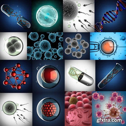 Viruses And Cells #2 - 25 HQ Images