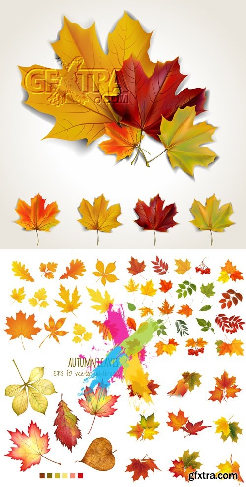 Autumn Leaves Icons Vector